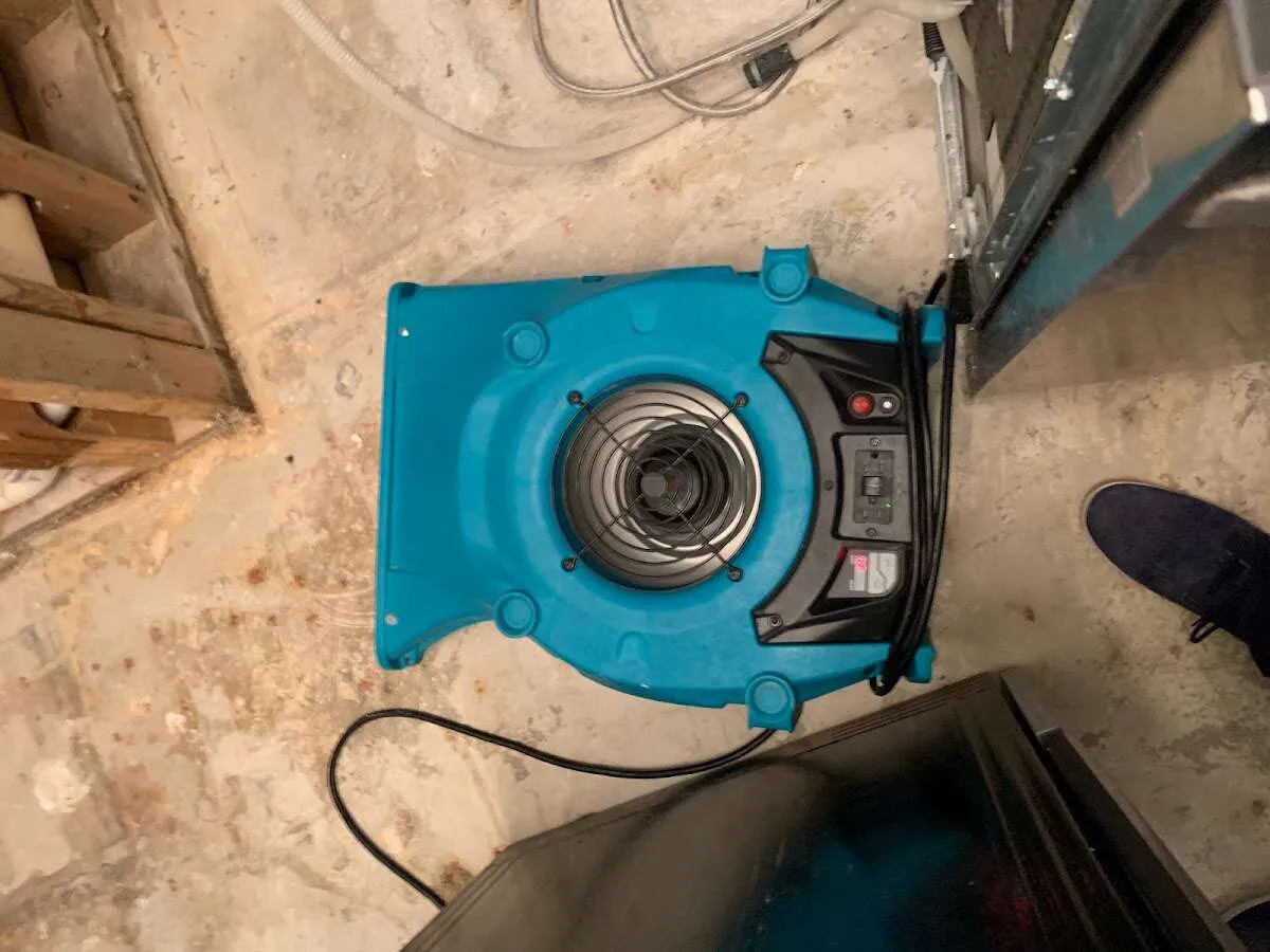 Air mover drying equipment for Mold Remediation & Removal in McGregor